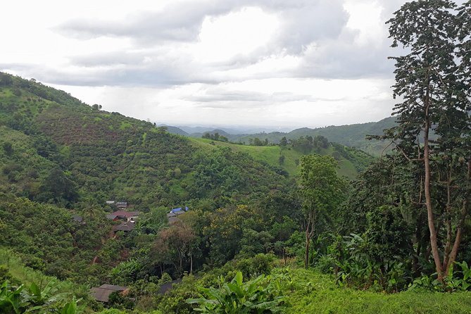 1 Day Trekking Group Tour With Bamboo Cooking / Chiang Rai - Why this Chiang Rai trek feels different
