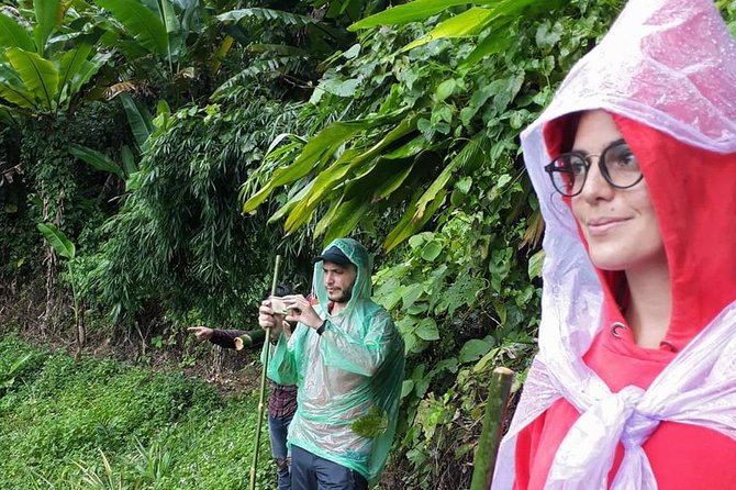 1 Day Trekking Group Tour With Bamboo Cooking / Chiang Rai - Bamboo cooking turns lunch into the main event