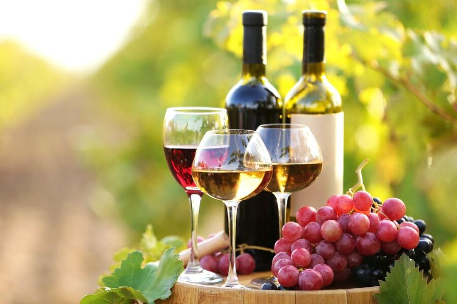 11 Course Lunch, Wine Tasting & Cooking Mastery in Rhodes - Learning traditional cooking before lunch