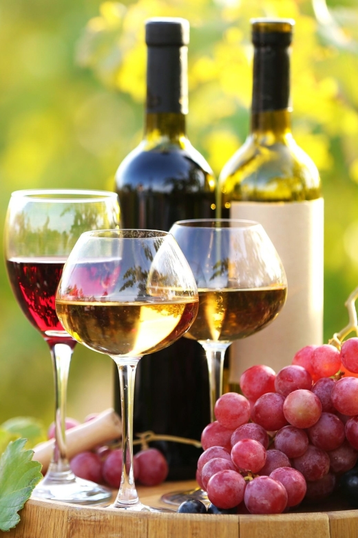 11 Course Lunch, Wine Tasting & Cooking Mastery in Rhodes - Who will get the most from this $160 outing?