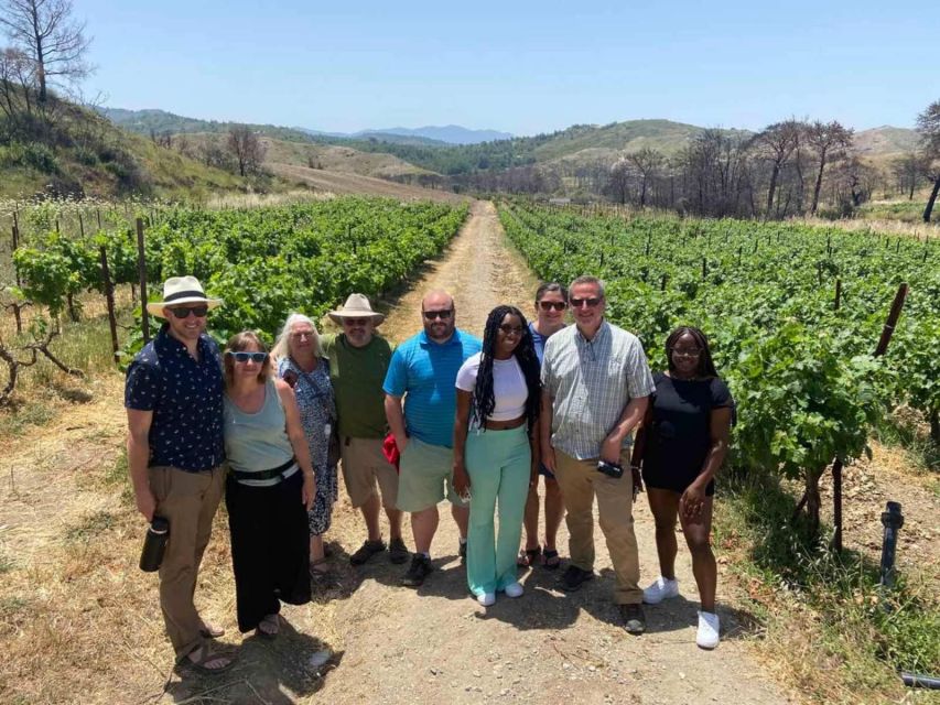 11 Course Lunch, Wine Tasting & Cooking Mastery in Rhodes - Meeting the family behind the winery