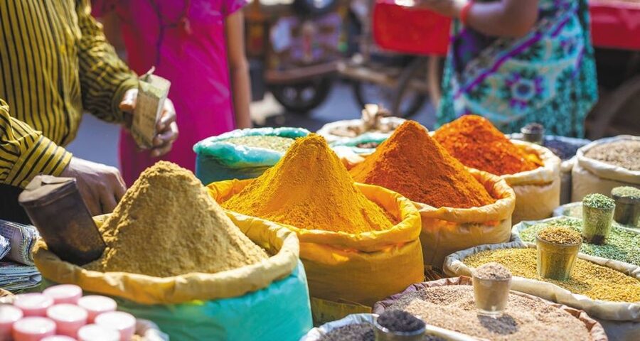 Agra: Indian Food Private Cooking Class - Who will enjoy this Agra cooking class?