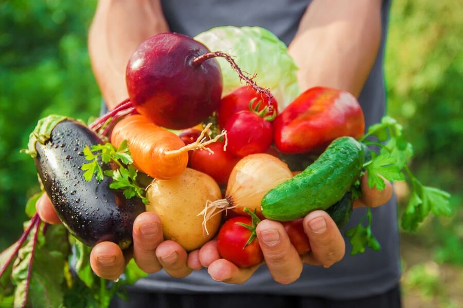 Amalfi: Cooking Class and Farmhouse Visit With Meal - Is the $157.47 price good value?