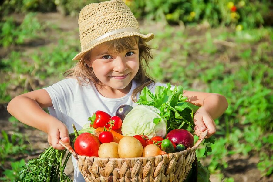 Amalfi: Cooking Class and Farmhouse Visit With Meal - Starting at Amalfi Heaven Gardens