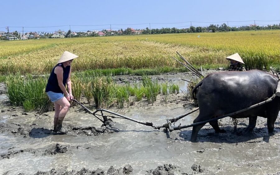An incredible Hoi An - Water buffalo riding & cooking class - A local lunch after the cooking class