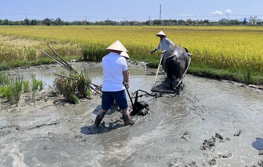 An incredible Hoi An - Water buffalo riding & cooking class - The value of the $88 price
