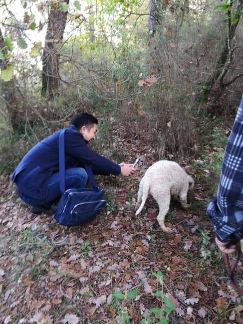 Arezzo: truffle hunting, tasting, and a cooking class with truffles. - Why this Arezzo truffle experience feels different