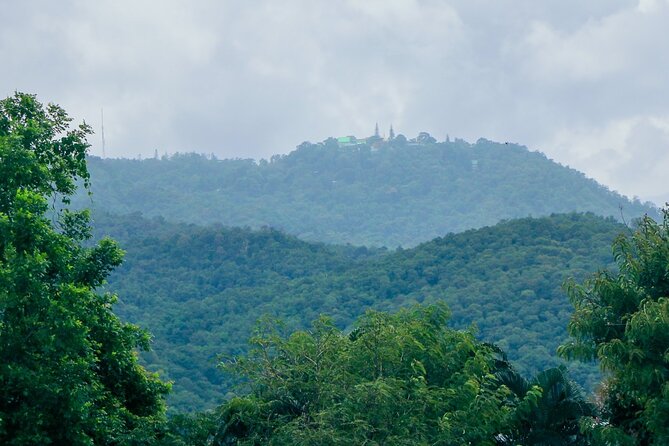 Aroidee’s Farm-Fresh Thai Cooking Experience - Who will enjoy this farm cooking class most