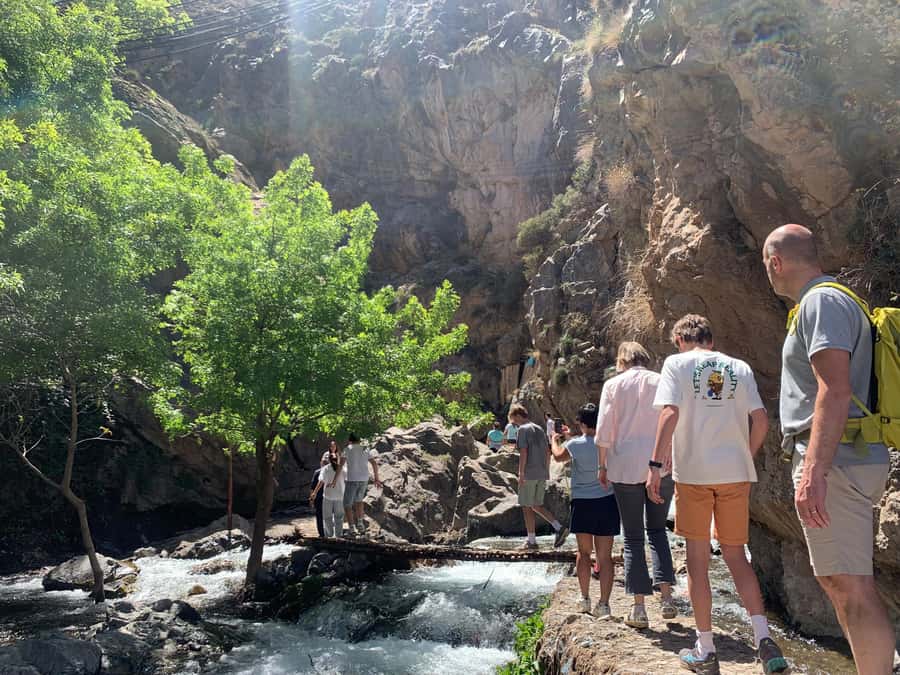Atlas Mountains Day Trip: Market, Cooking & Village Walk - Cooking in a family garden near Imlil