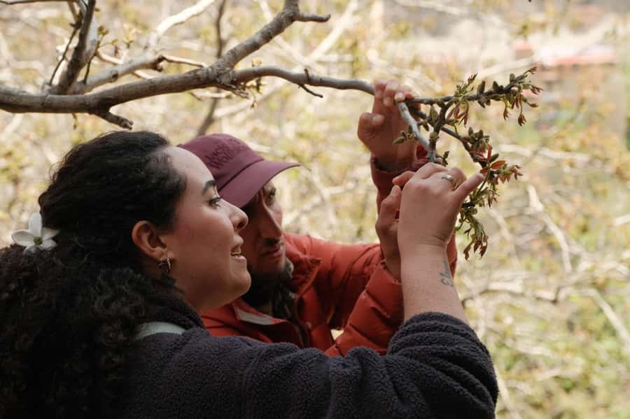 Atlas Mountains Day Trip: Market, Cooking & Village Walk - What the $62 price really covers