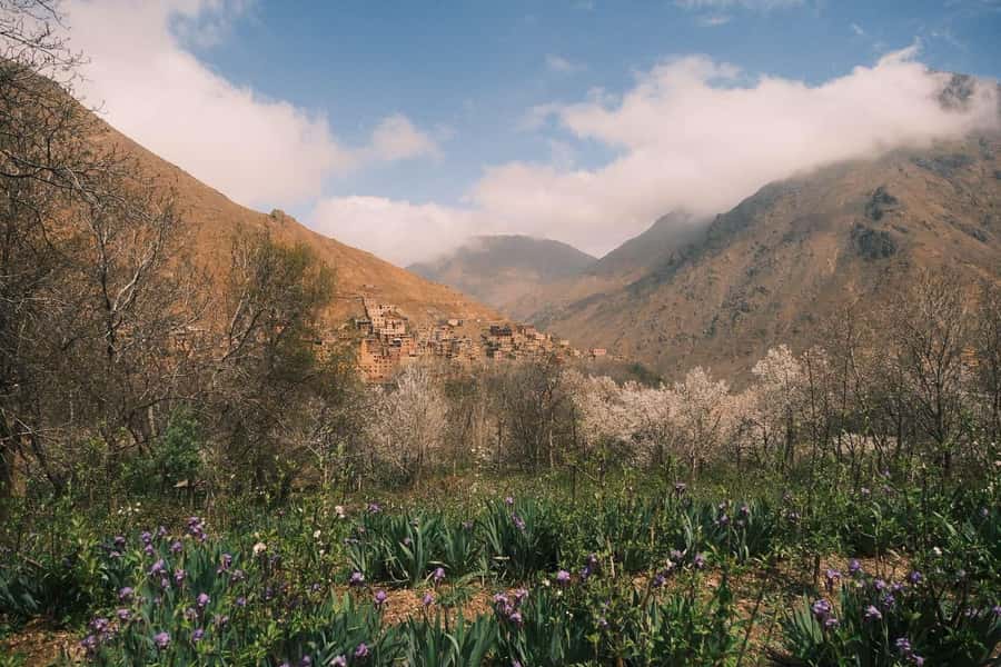 Atlas Mountains Day Trip: Market, Cooking & Village Walk - Shopping for lunch at Imlil market
