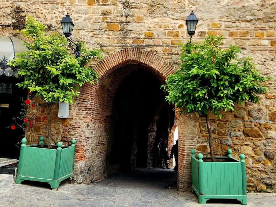 Authentic Luxury, private, TANGIER tour and cooking class - The coastal drive, camel ride, and Hercules Cave