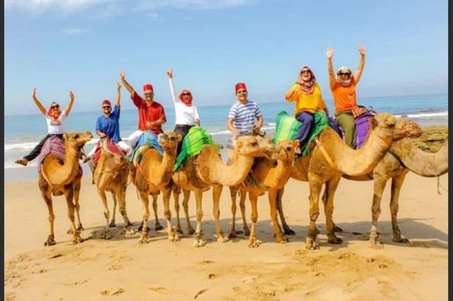 Authentic Luxury, private, TANGIER tour and cooking class - Who should book this experience