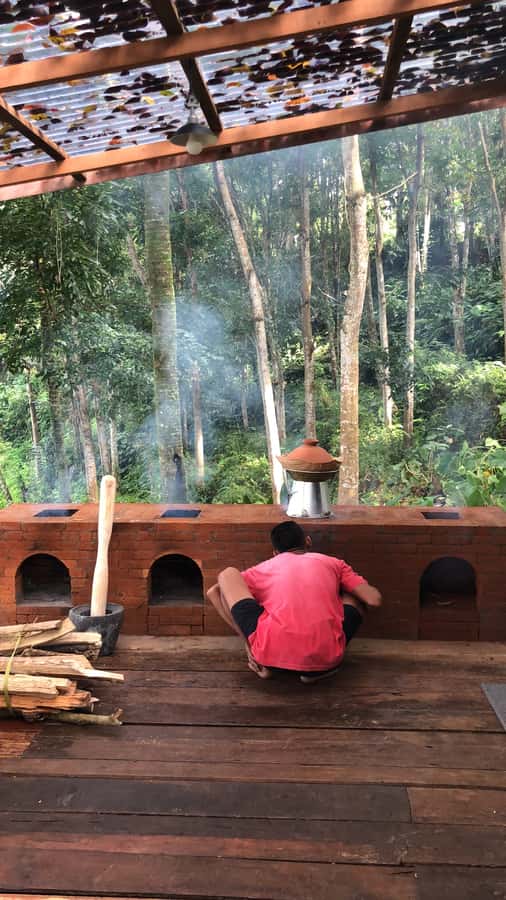 Bali: Cooking Class with 5 Balinese Dishes - A one-hectare setting that changes the pace