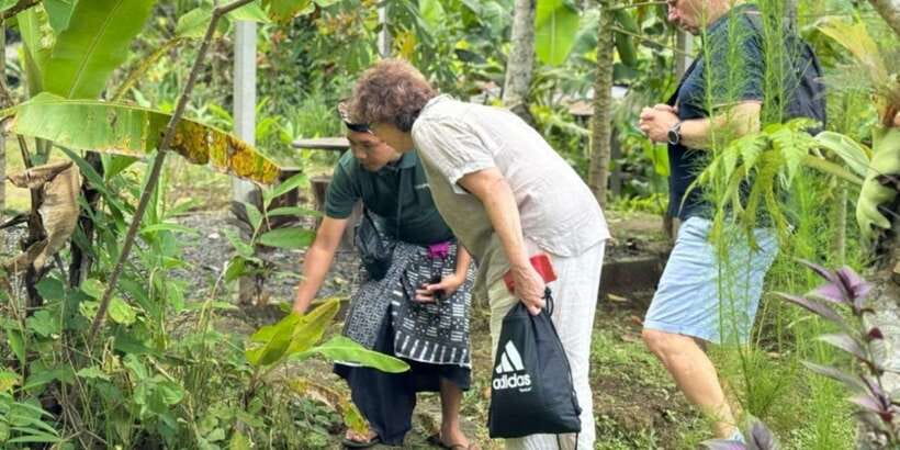 Bali: Cooking Class with Monkey Forest and Art Village Tour - A Balinese House and Farm Visit