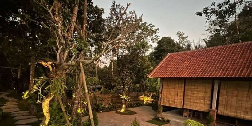 Bali: Cooking Class with Monkey Forest and Art Village Tour - Is $70 a Good Value?