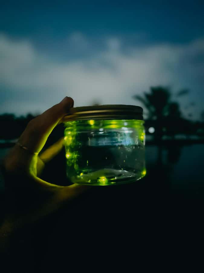 Bali Traditional Village Cooking & Magical Fireflies Tour - Why this Bali experience feels different