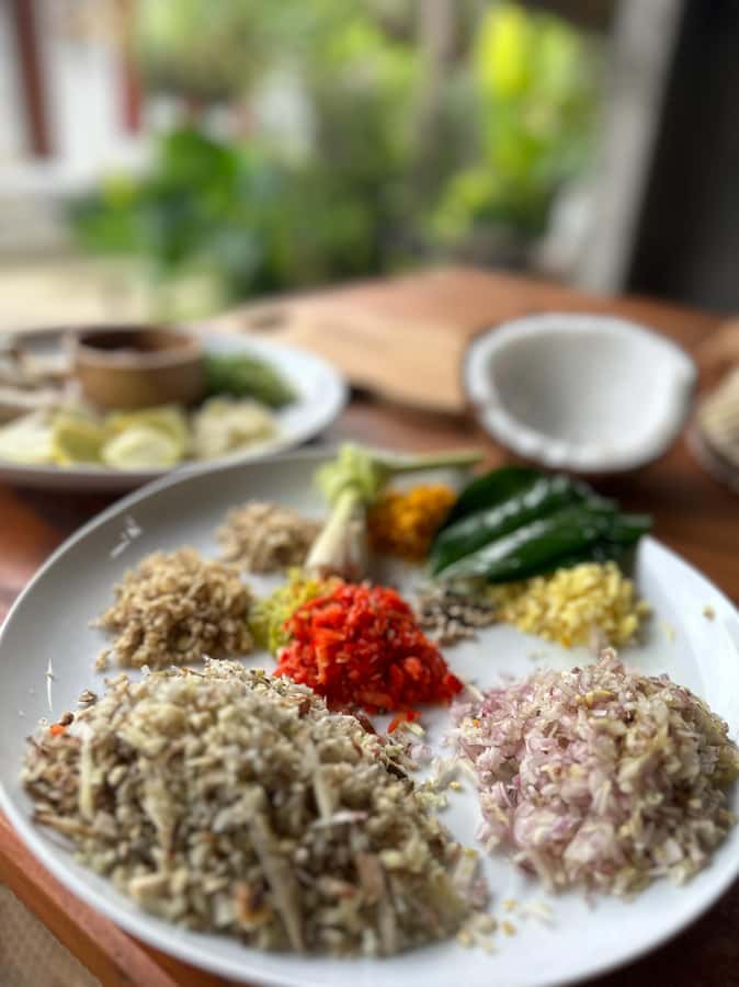 Bali Traditional Village Cooking & Magical Fireflies Tour - What the $45 price really covers