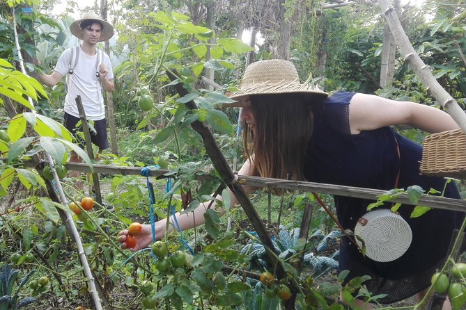 Balinese Cooking Class at Organic Farm - What $40 buys you in practical terms