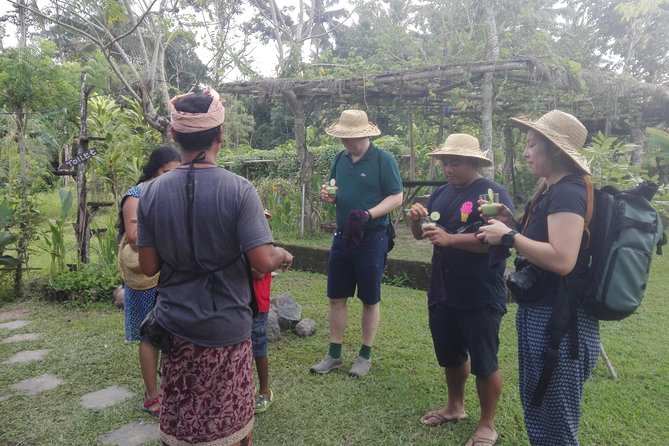 Balinese Cooking Class at Organic Farm - Who will enjoy this most
