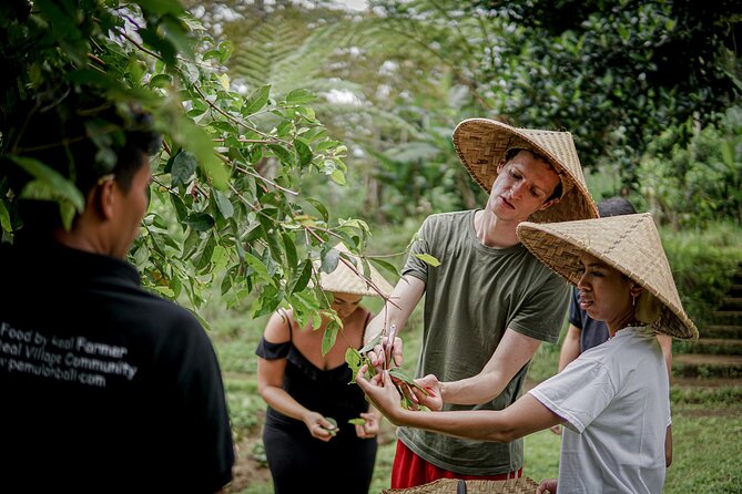 Balinese Farm Cooking Class by Pemulan Bali - Starting at Pura Dalem Puri Peliatan