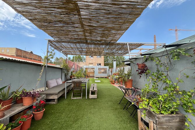 Barcelona Rooftop Paella Cooking Class with Sangria & Local Host - Who will enjoy this class most?