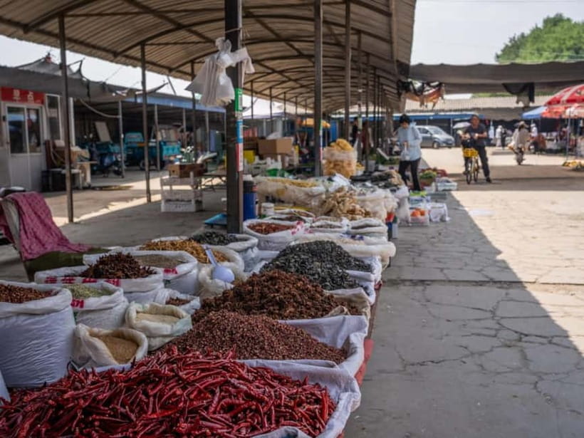 Beijing: Vegan Home Cooking & Local Market Tour with Sanxia - Starting near Tu Qiao and Linheli in Tongzhou
