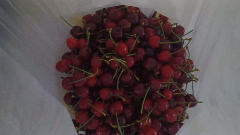 Berat: Farm-to-Table Cooking Class with Local Family - Who Will Enjoy This Most?