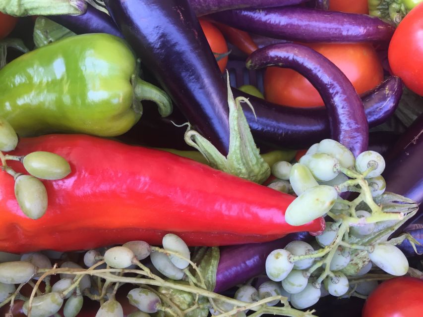 Bodrum: Market Visit and Cooking Class - Key points to know before you book