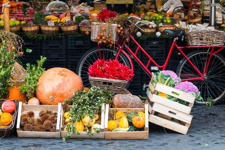 Bologna: Market, Cooking Demo and Meal at a Local's Home - Key points to know before booking