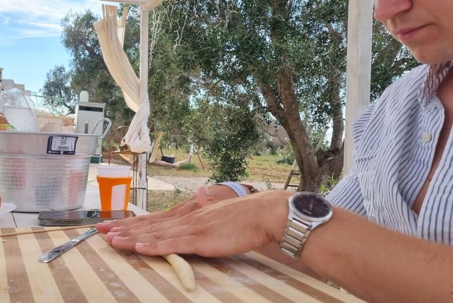 Brindisi: Cooking Class and Tasting in the Olive Grove - Price, group size, and what is included