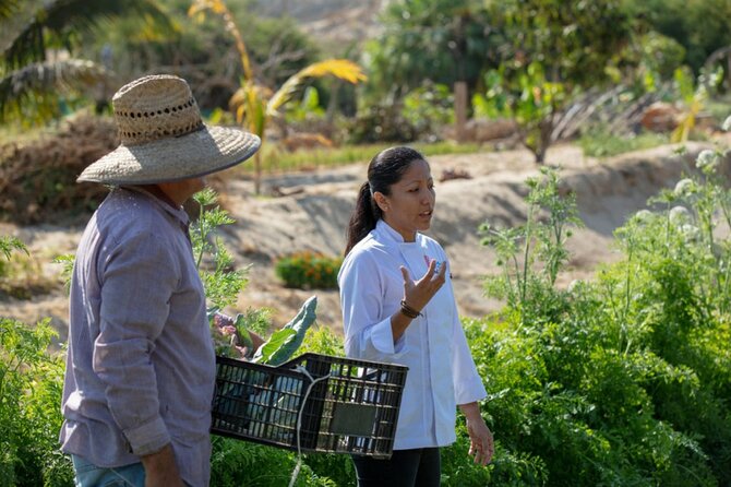 Cabo San Lucas Cooking Classes by Chef Ari - Who will enjoy this class most