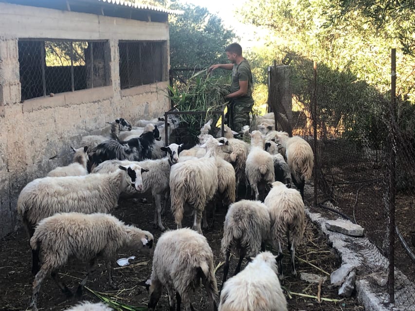 Chania Area: Cooking Class at a Farm in Stylos Village - Sitting Down to a Full Cretan Meal