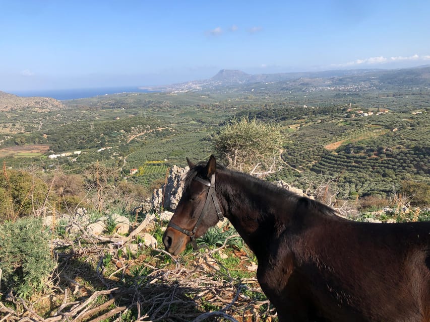 Chania Area: Cooking Class at a Farm in Stylos Village - Practical Advice for a Comfortable Afternoon