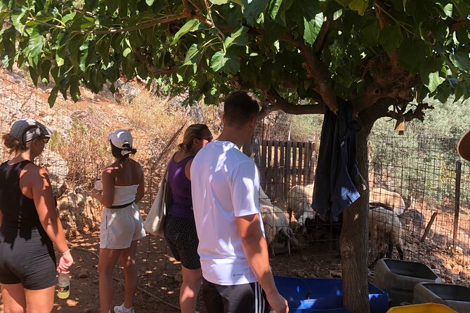 Chania Area: Cooking Class at a Farm in Stylos Village (organic) - Who should book this experience