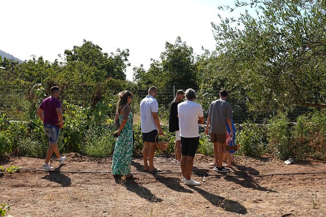 Chania Sourdough Bread Class - Olive Oil Tasting - Lunch, local wine, and something sweet