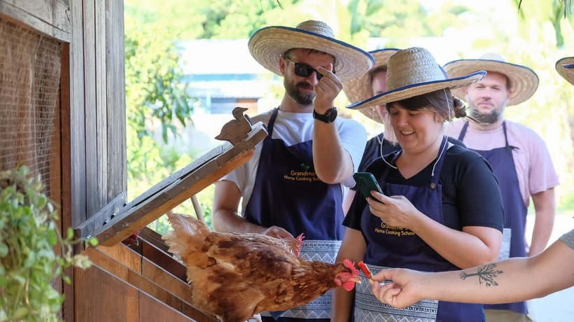 Chiang Mai: Authentic Cooking Class with Market & Farm Visit - Grandma’s organic farm and its small surprises
