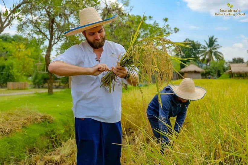 Chiang Mai: Authentic Cooking Class with Market & Farm Visit - The food, portions, and final meal