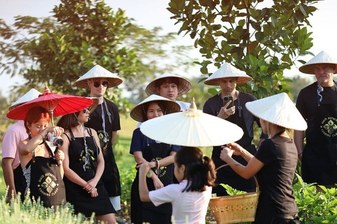 Chiang Mai Cooking Class - Siam Authentic Cooking Class - The rice-field view adds breathing room