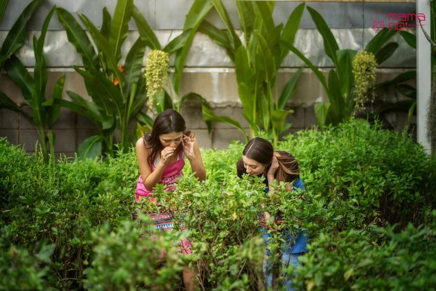 Chiang Mai: Cooking Class with Organic Farm at Mama Noi - Eating the Food You Made
