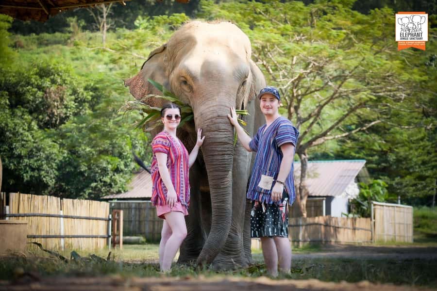 Chiang Mai Elephant Jungle Sanctuary &Mama Noi Cooking Class - Key Details That Shape the Day