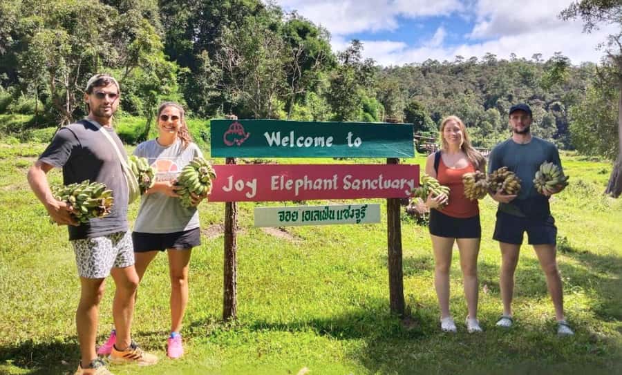 Chiang Mai: Ethical Elephant Sanctuary & Thai Cooking Class - Three hours of cooking with Aim