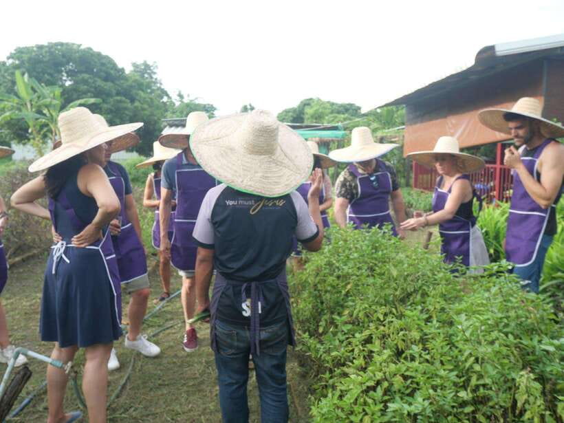 Chiang Mai: Half Day Cooking Class at Organic Farm - Who will enjoy this Chiang Mai class?