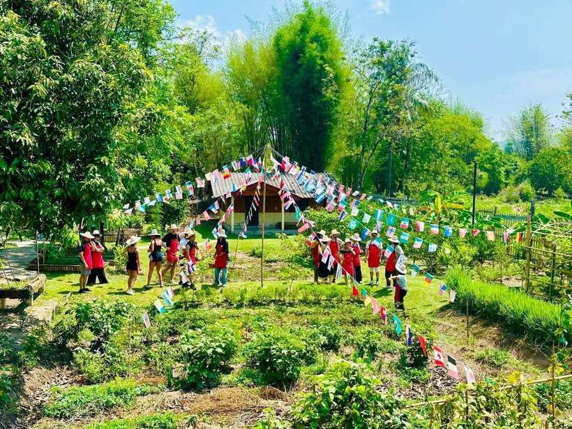 Chiang Mai: Half Day Cooking Class at Organic Farm - The three location choices matter