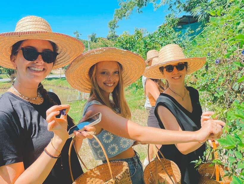 Chiang Mai Organic Thai Cooking Experience - Key points at a glance