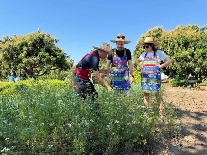Chiang Mai : Thai Cooking in Farm with a Local Train Trip - The local train from Chiang Mai to Lamphun