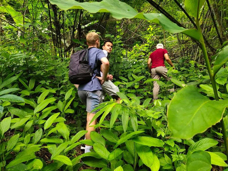 Chiang Rai: Jungle Adventure-Group Trekking & Bamboo Cooking - Key points to know before booking