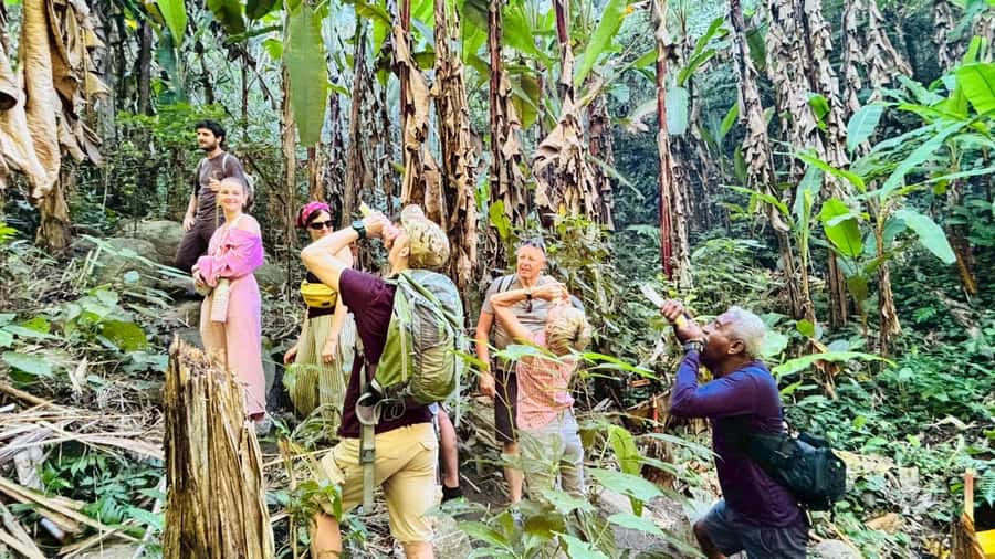 Chiang Rai: Jungle Adventure-Group Trekking & Bamboo Cooking - Villages, farms, and a closer look at local life