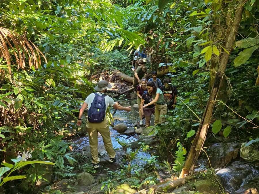 Chiang Rai: Jungle Adventure-Group Trekking & Bamboo Cooking - A demanding but rewarding route through northern Thailand