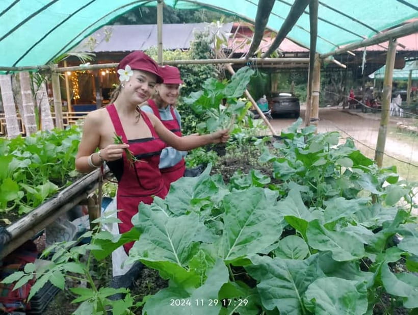 Chiang Rai:Lanna Home Cooking Class at Give Green Farm House - Choosing your cooking category